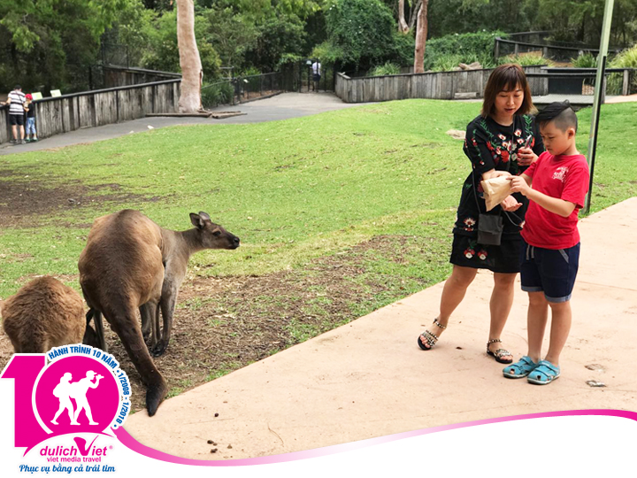 Du lịch Úc - Sydney - Central Coast mùa Xuân từ Sài Gòn giá tốt